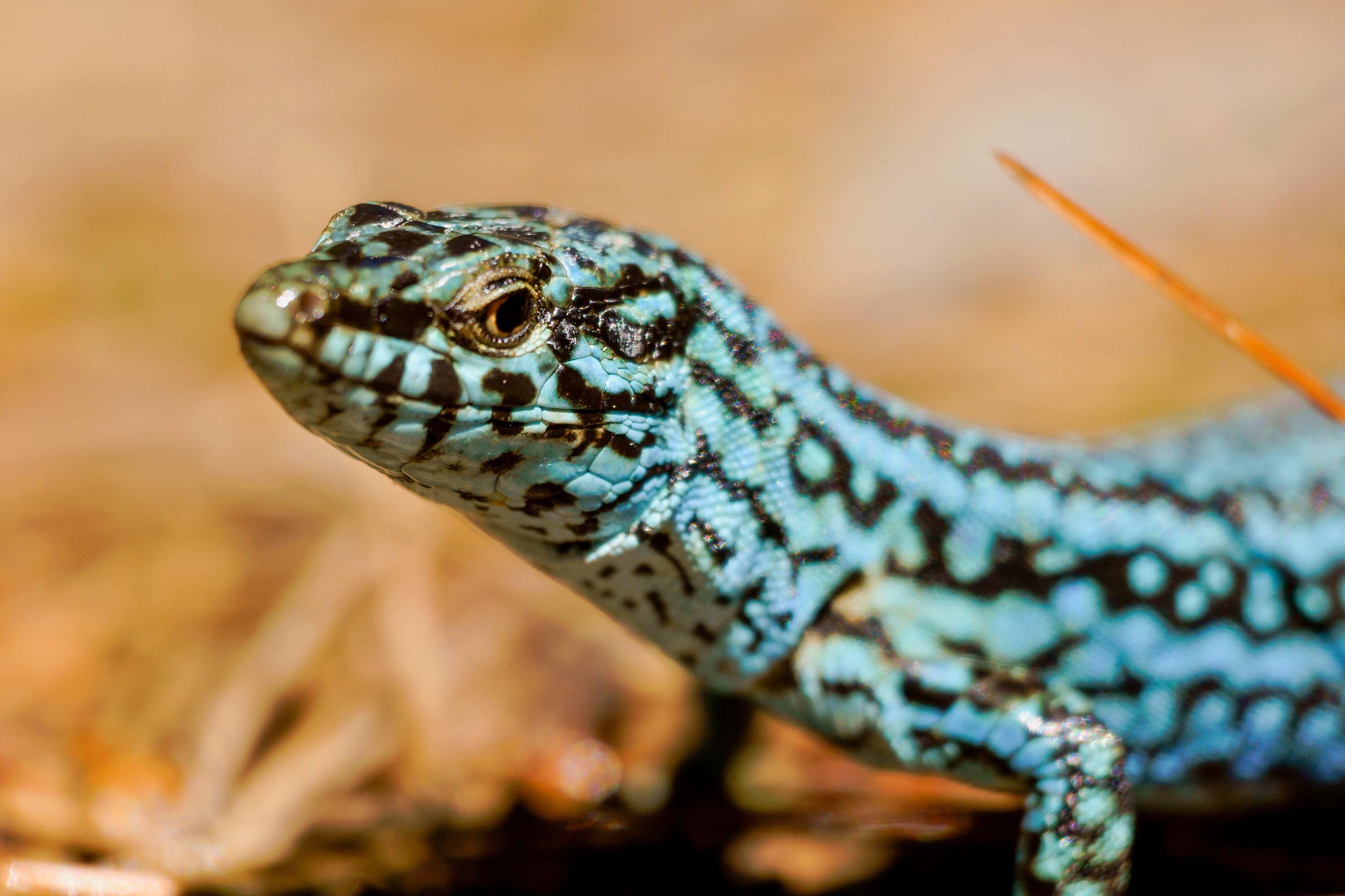 Formentera, mucho más que sol y playa