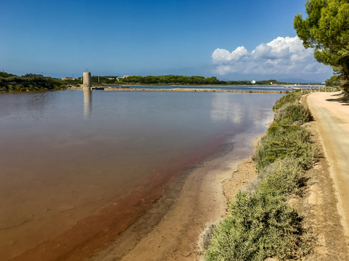 3 vías verdes para principiantes en Formentera